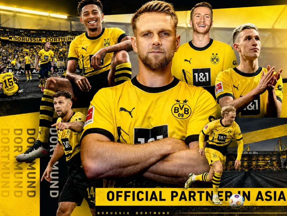 乐鱼体育APP 封面图